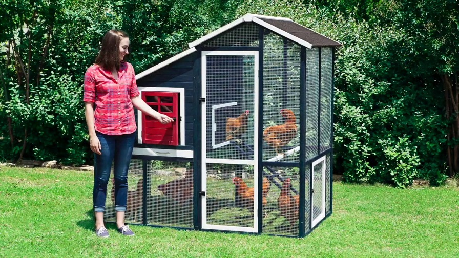 Chicken Coop Assembly